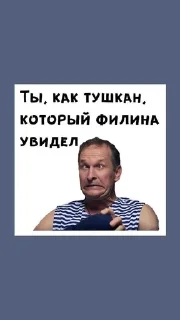 🌟 emoji Сваты от Fuks_797 Telegram sticker 8 of 28