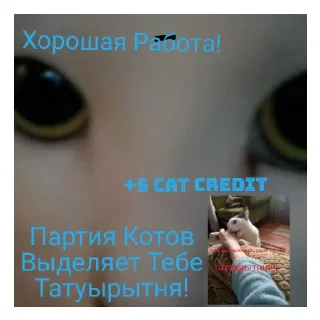 😄 emoji Обнова? Да Telegram sticker 16 of 43