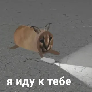 📦 emoji Канал:Читы на игры и моды Telegram sticker 22 of 120