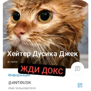 🐱 emoji Эти стики Сани Перса Telegram sticker 19 of 115