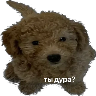 🥹 emoji Тимоха балбес Telegram sticker 7 of 55