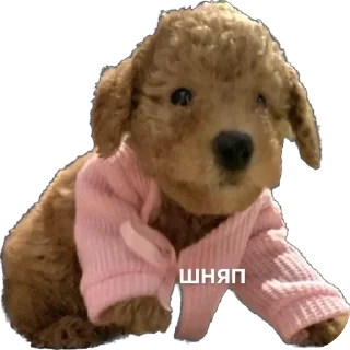 🧸 emoji Тимоха балбес Telegram sticker 13 of 55