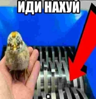 😡 emoji Стики захара!!! Telegram sticker 5 of 120