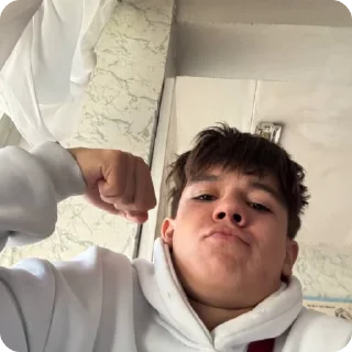 🌟 emoji Шарага Telegram sticker 16 of 25