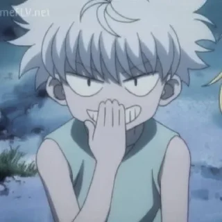 Sticker from Killua Zoldyck
@stickers_ari