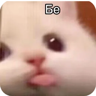🤲 emoji Ъуъ Telegram sticker 23 of 43