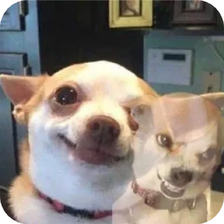 🐶 emoji Ъуъ Telegram sticker 16 of 43