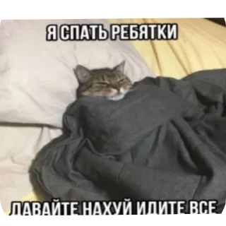 🐱 emoji Ъуъ Telegram sticker 21 of 43
