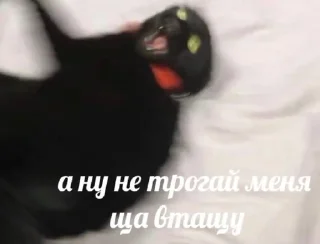 🤬 emoji жЫзнь Telegram sticker 12 of 69