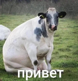 🌟 emoji ноябрь 2026 Telegram sticker 12 of 77