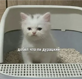 😡 emoji кокащке Telegram sticker 16 of 66