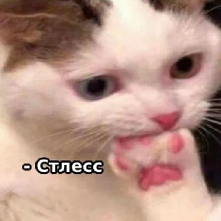 🤫 emoji Pufick 4 - Illusion_Pernn Telegram sticker 9 of 62