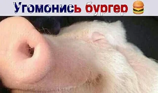 🇺🇸 emoji Российская Федерация🇷🇺 Telegram sticker 19 of 102