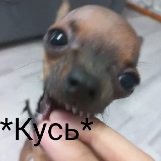 Sticker from Бебрик Юми