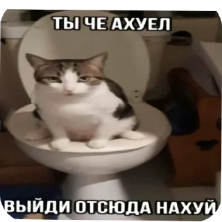 🐱 emoji ДрачоМэн by @stickplusbot Telegram sticker 21 of 109