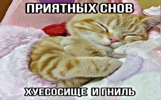 🌟 emoji очкошки Telegram sticker 16 of 120