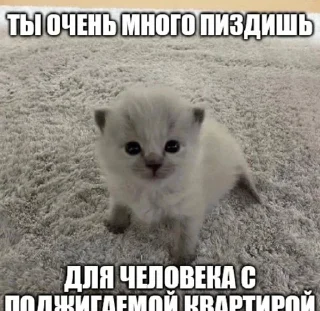 🌟 emoji очкошки Telegram sticker 6 of 120