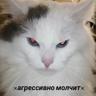 😾 emoji Kosmos Telegram sticker 5 of 73