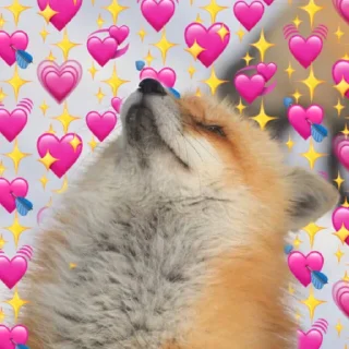💕 emoji Лисички Telegram sticker 5 of 70