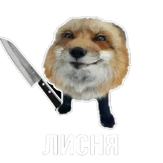 😄 emoji Лисички Telegram sticker 9 of 20