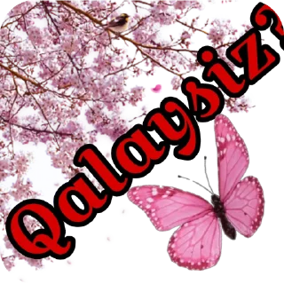 🐞 emoji @nigorim_academy @Abdukomilovna Telegram sticker 19 of 37