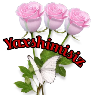 👍 emoji @nigorim_academy @Abdukomilovna Telegram sticker 15 of 37