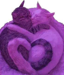 🥰 emoji мяумяу Telegram sticker 6 of 15