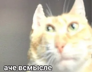 🤨 emoji Передоз Telegram sticker 17 of 23