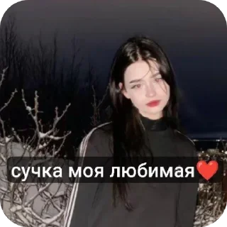 🎢 emoji стики кукиша Telegram sticker 13 of 30