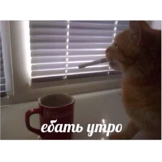 🫥 emoji Меня косоёбит Telegram sticker 10 of 120