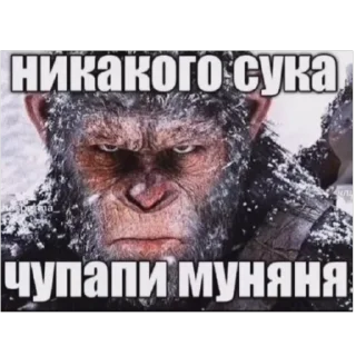 🫥 emoji Меня косоёбит Telegram sticker 16 of 120