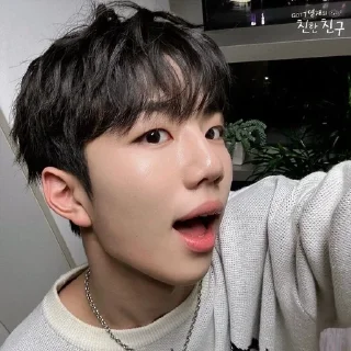 🌟 emoji EVVNE JIHOO Telegram sticker 14 of 17