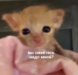 🙃 emoji бадбаби Telegram sticker 16 of 120