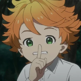 🤫 emoji Обещанный Неверленд @animetitle Telegram sticker 11 of 40