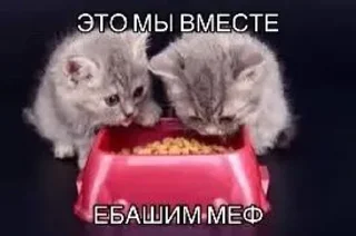 🌟 emoji милый стик пак дд Telegram sticker 23 of 30