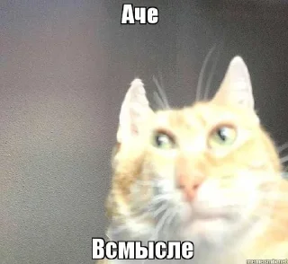 🌟 emoji Memes Telegram sticker 22 of 48