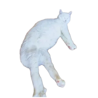 🐱 emoji Всратыши Telegram sticker 22 of 23