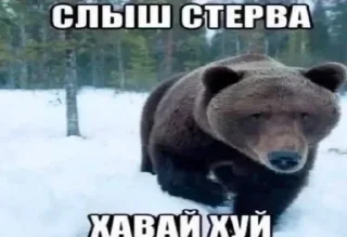 🌟 emoji екшен.com Telegram sticker 5 of 120