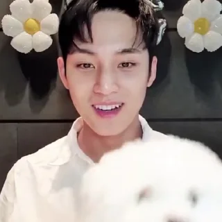 Sticker from mingyu @svtwe