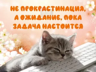 😸 emoji Ебанные открытки Telegram sticker 24 of 108