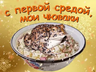 🐸 emoji Ебанные открытки Telegram sticker 17 of 108