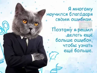 🧠 emoji Ебанные открытки Telegram sticker 22 of 108