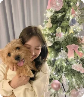 Sticker from Nayeon Christmas
