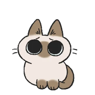 Sticker from Siamese @stickersb2b