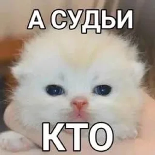 🌟 emoji Крошка Telegram sticker 22 of 54
