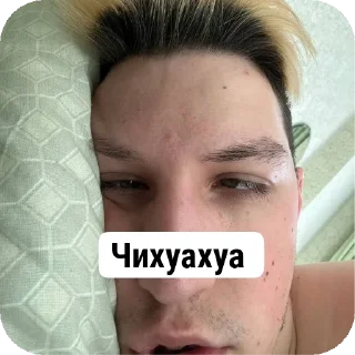 💇 emoji Мазелов и дребе @McKashin Telegram sticker 21 of 101