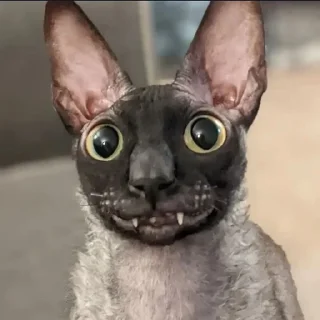 🌟 emoji Ядовитый и Летучий Telegram sticker 19 of 39