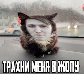 😆 emoji рустем собачка Telegram sticker 23 of 35