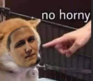 🙄 emoji рустем собачка Telegram sticker 9 of 35