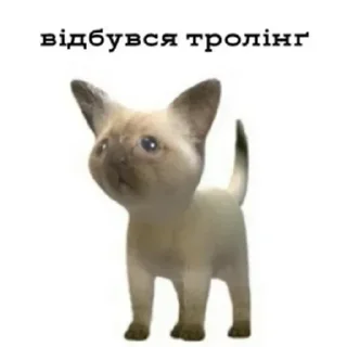🇺🇦 emoji Dupa Telegram sticker 19 of 120